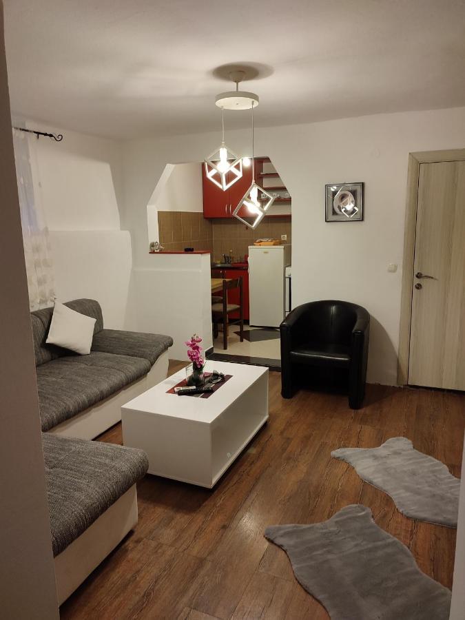 V&J Apartments Podgorica Kültér fotó